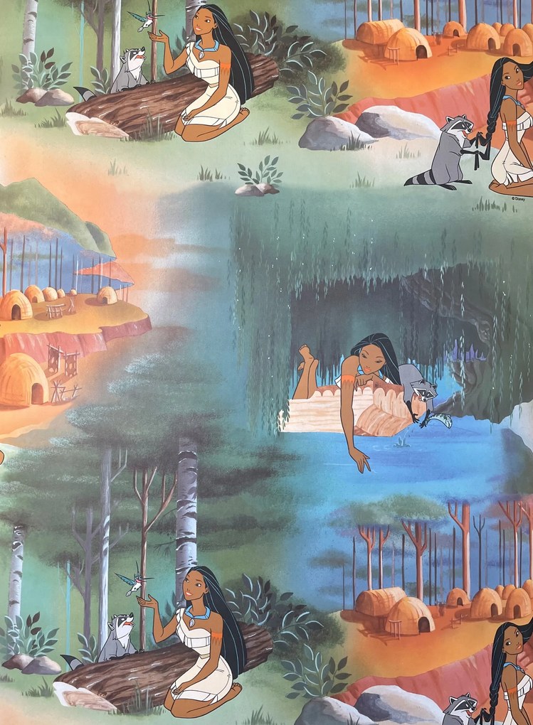 Pocahontas disney fali tapéta 50277-965