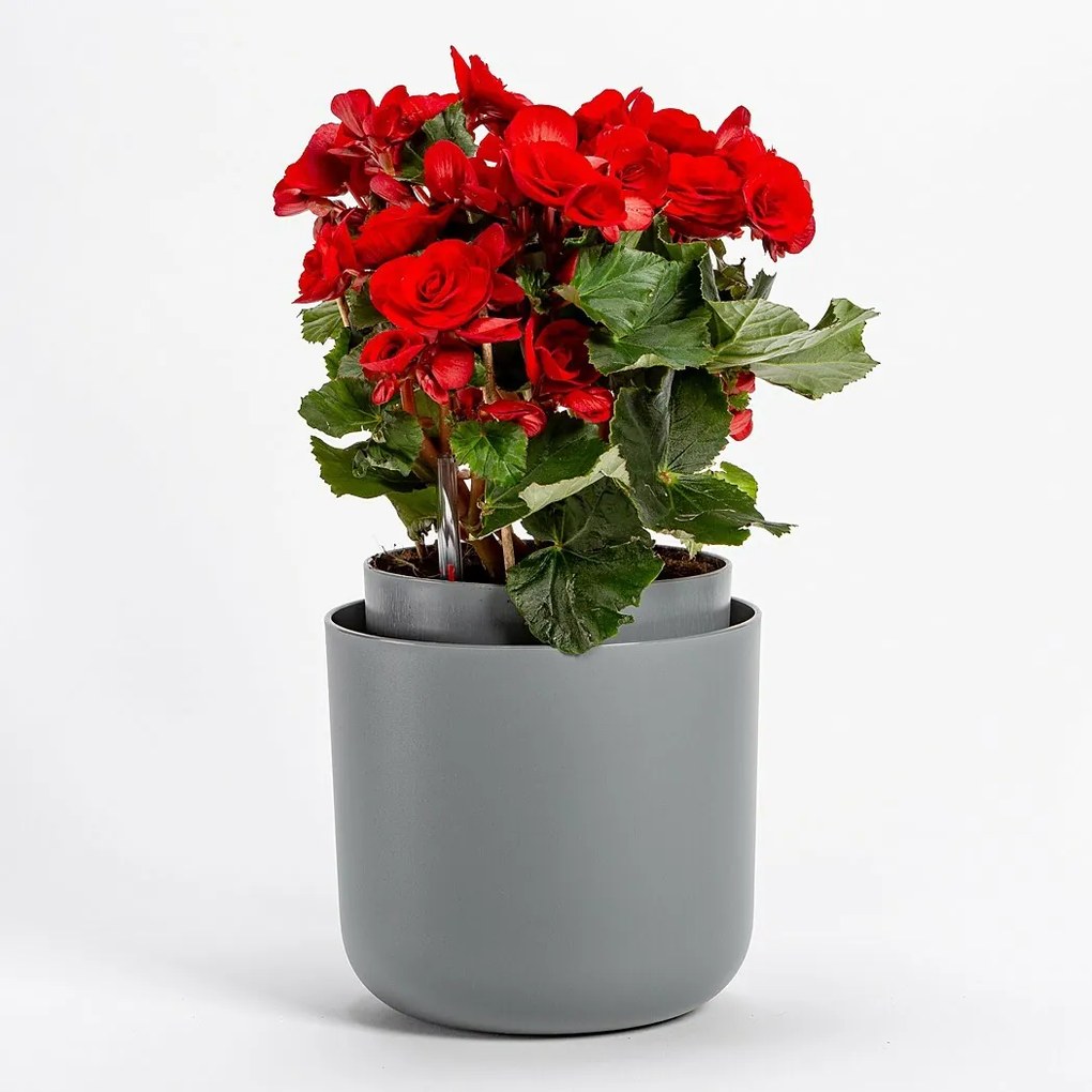 Plastia Tolita önöntöző virágtartó, szürke, átmérő: 19 cm, 19 cm átmérőjű