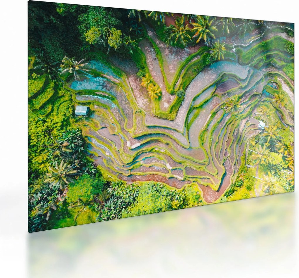 A rizsföldek képe madártávlatból (üvegen) (70x50 cm)