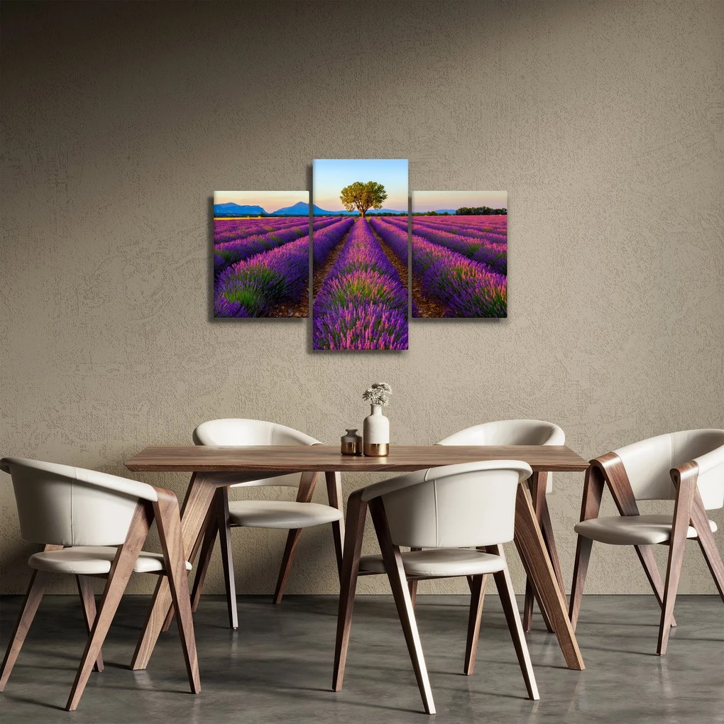 Kép - Levendula mező (90x60 cm)