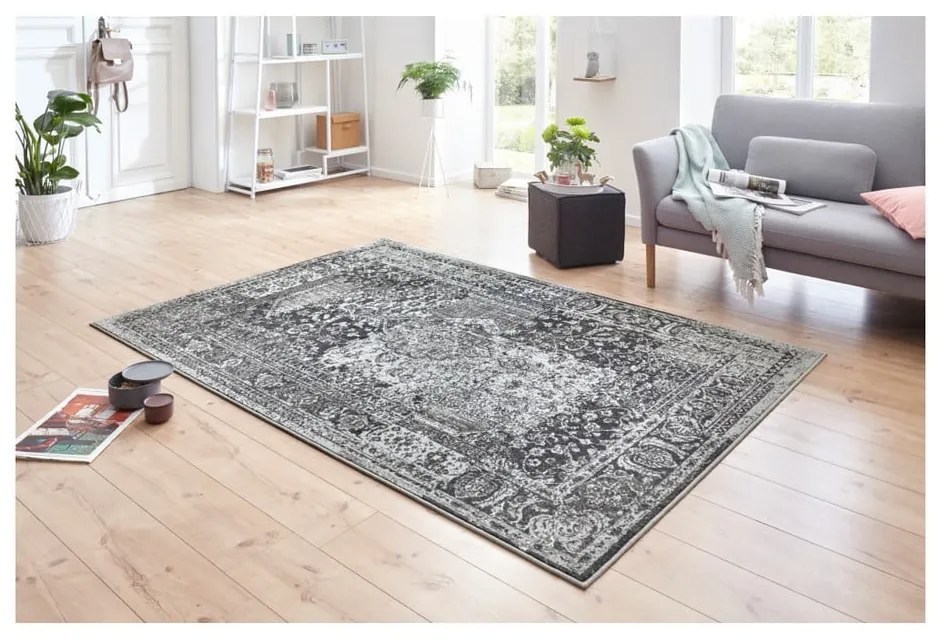 Celebration Plume szürke szőnyeg, 160 x 230 cm - Hanse Home