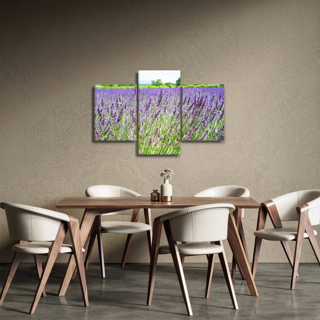 Egy mező képe a levendulával (90x60 cm)