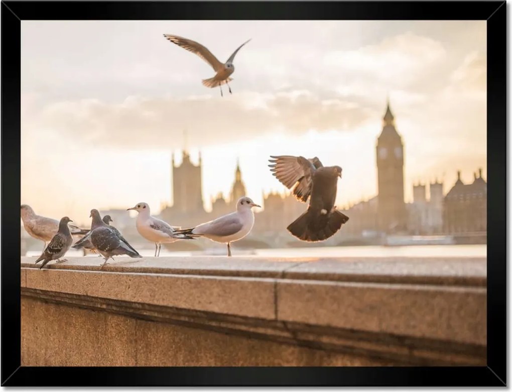 Poszterek keretben 40x30 Mozgás a Big Bennél