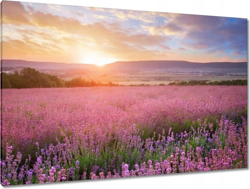 Festmények 120x80 Csodálatos naplemente