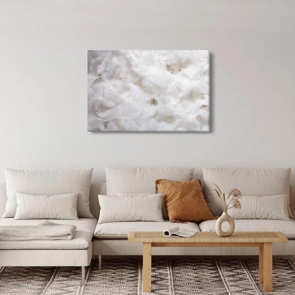 Kép - Fehér tollak (90x60 cm)