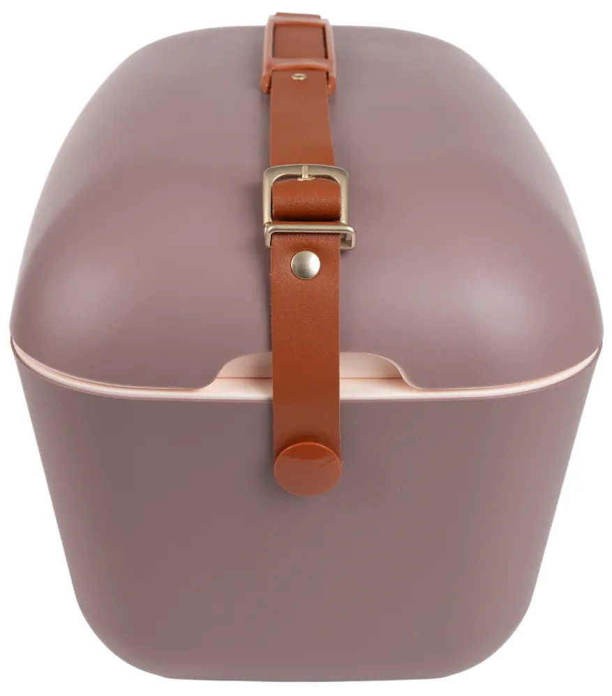 Polarbox hűtődoboz Classic Gold 20 l, barna, 20 l
