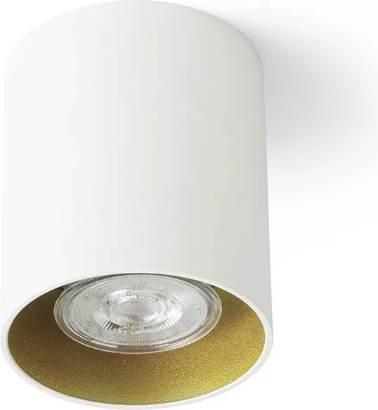 RENDL R14212 MANTOVA I Hengeres Mennyezeti Lámpa 95 IP20