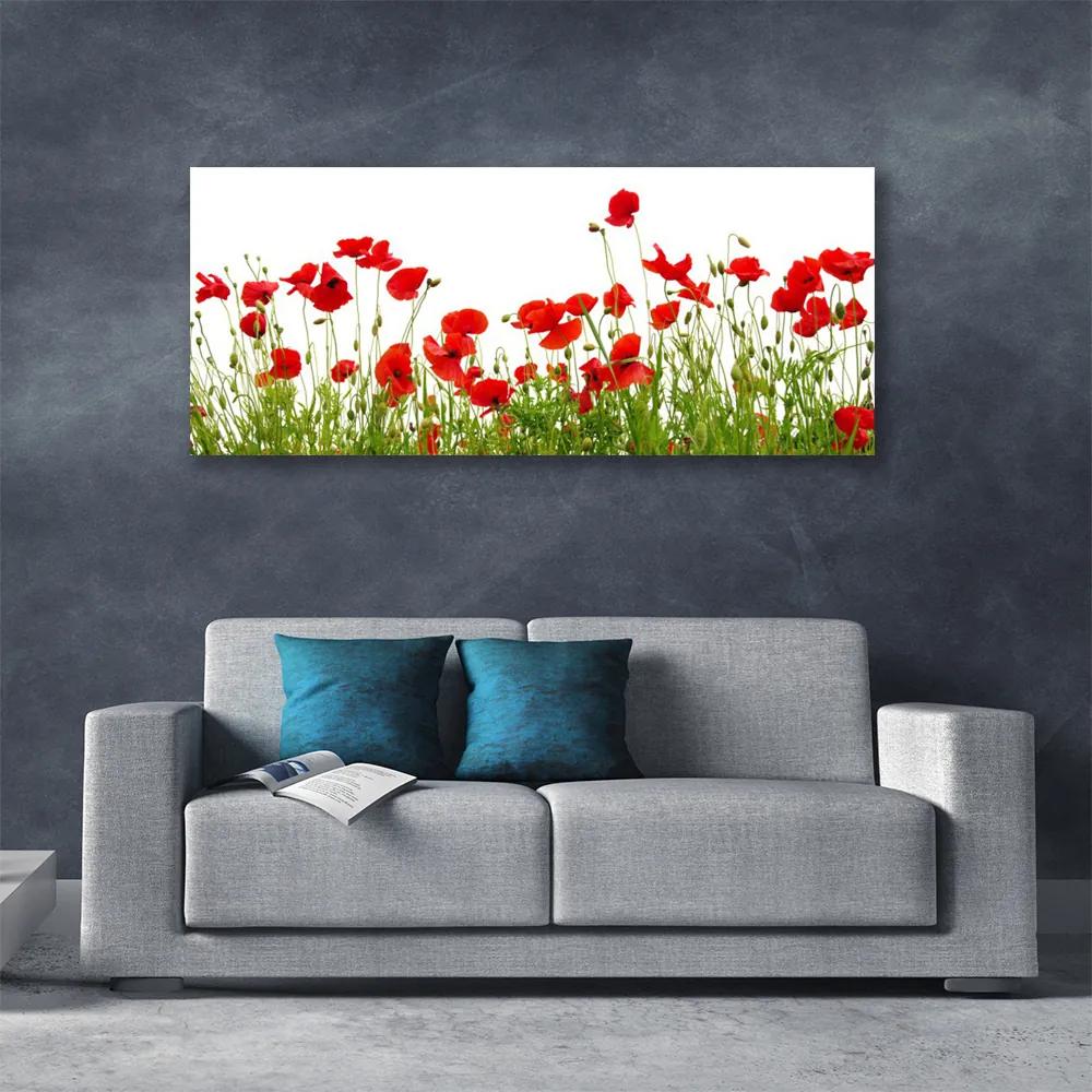 Vászonkép falra Pipacsok virágok Mező Természet 140x70 cm