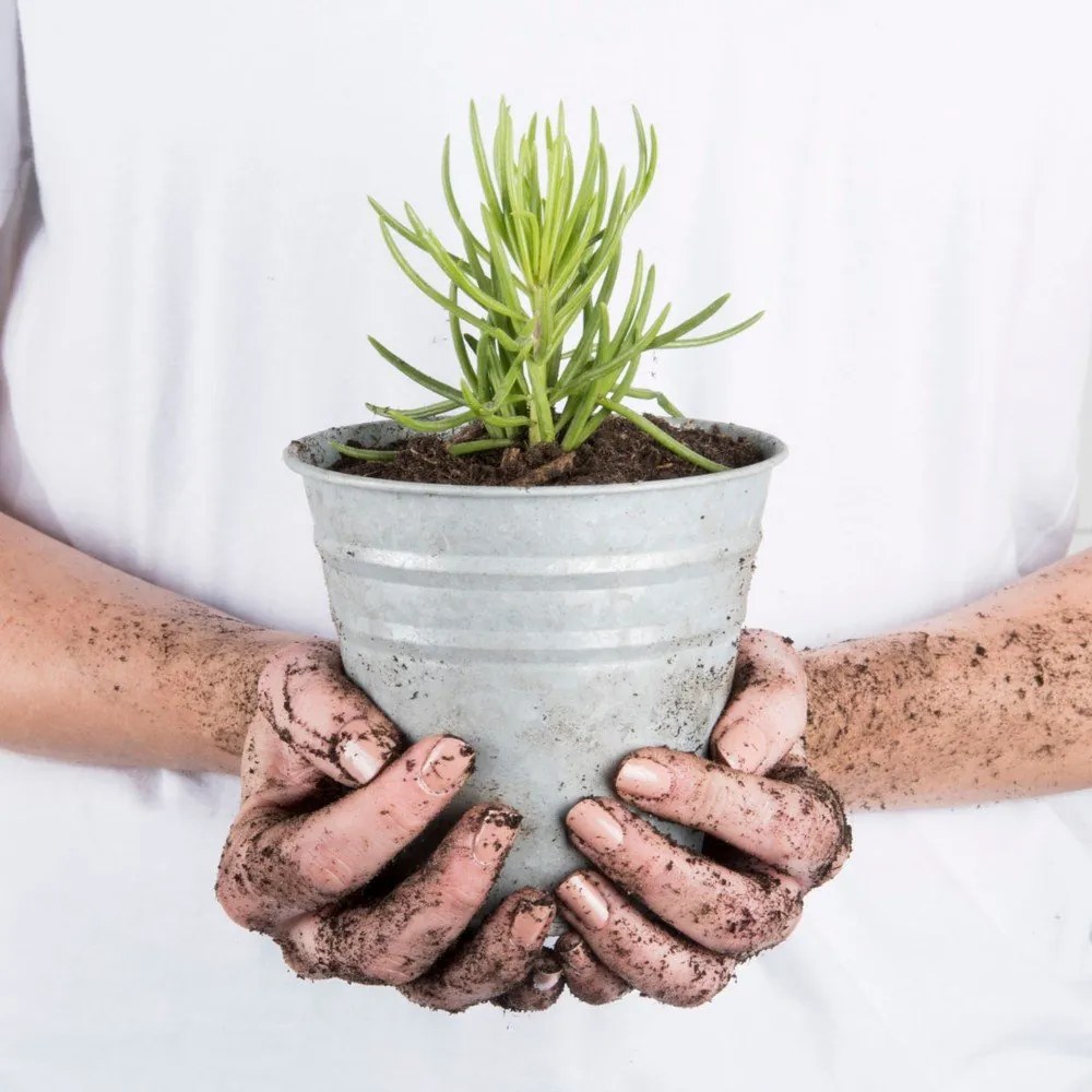 Fém virágcserép ø 14 cm – Esschert Design