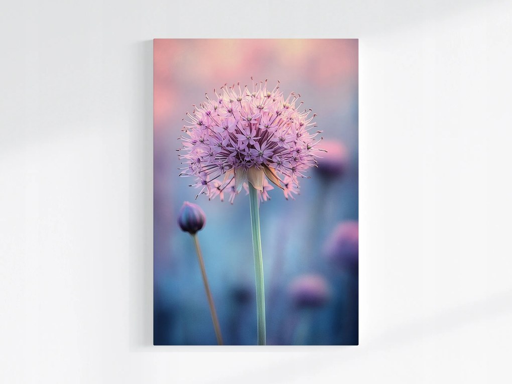 Poszter Rózsaszín Virág Fokhagyma Dekoratív Makro Pasztell 40x60