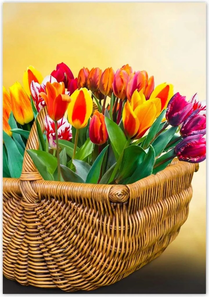 Poszterek 70x100 Tulipánok Virágok