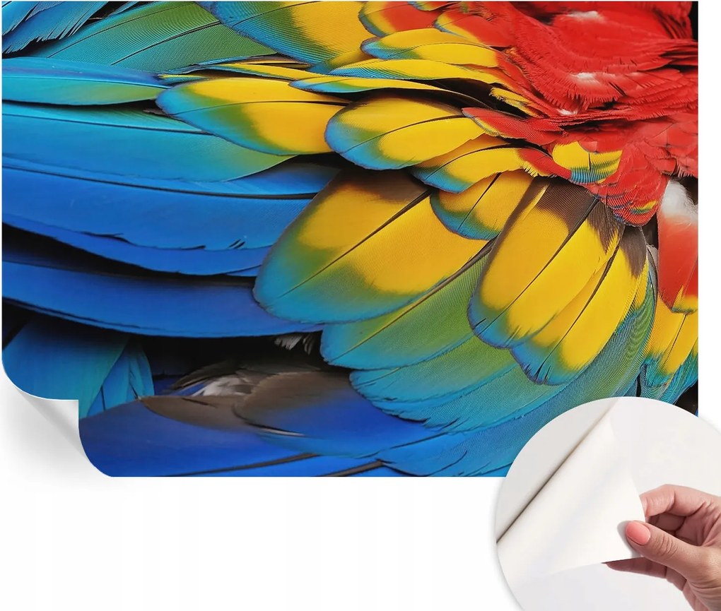 Dekoratív öntapadós fotótapéta irodába Szivárvány tollak 152x104 cm