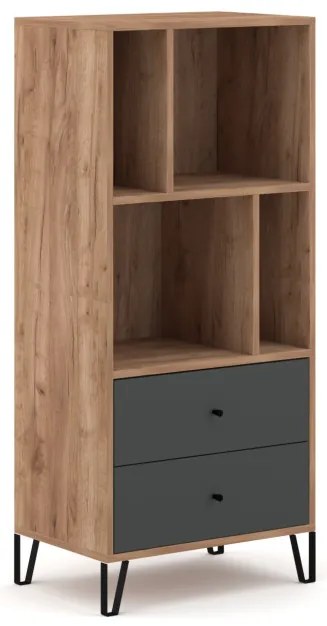 Polcos szekrény 2 fiókkal Craft Tobacco / grafit színkombinációban – BILBAO BL07