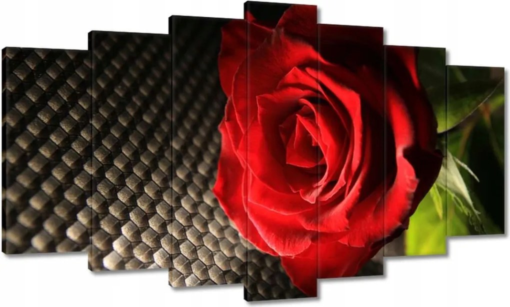 Vászonkép 140x80 Vörös rózsa levelekkel