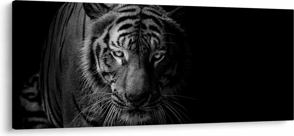 Egy vadtigris képe (120x50 cm)