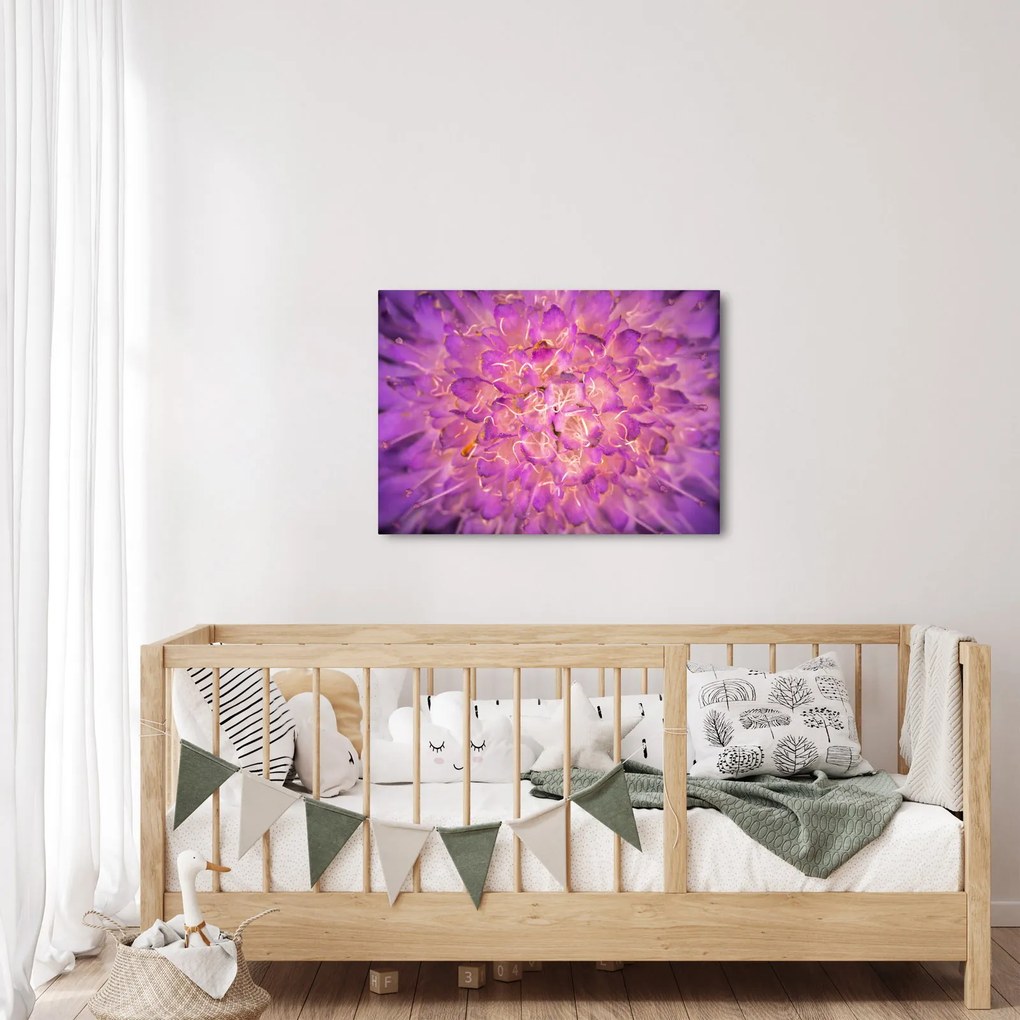 Részletes virágkép (70x50 cm)