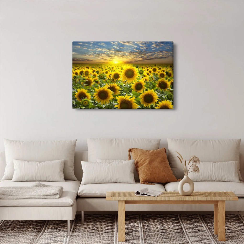 Kép - Napraforgók naplementében (90x60 cm)