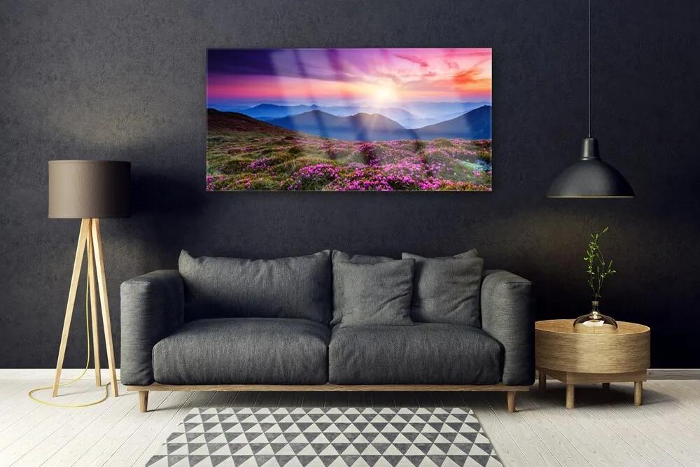 Fali üvegkép Sun Mountain Meadow Landscape 120x60cm