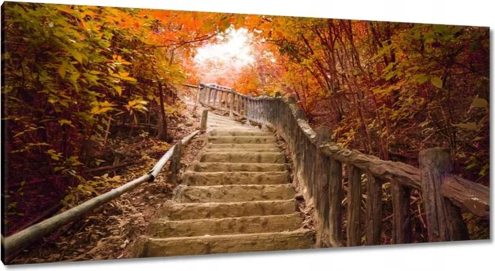 Képek 115x55 Őszi séta Lépcsők