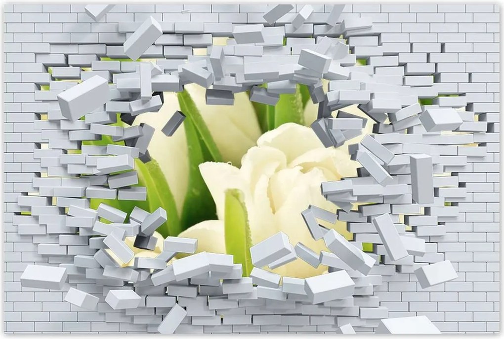 Poszterek 90x60 Finom tulipánok