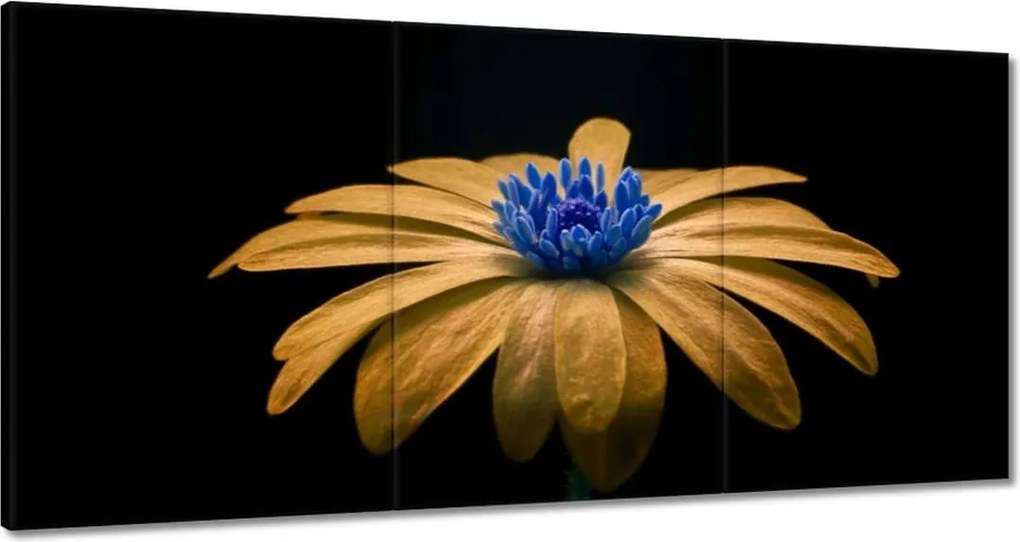 Vászonkép 180x90 Teavirág