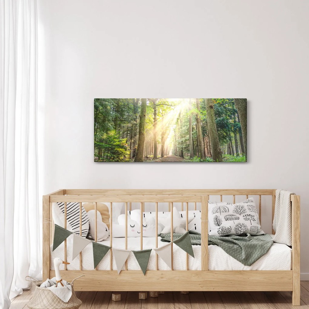 Egy ösvény képe az erdőben (120x50 cm)