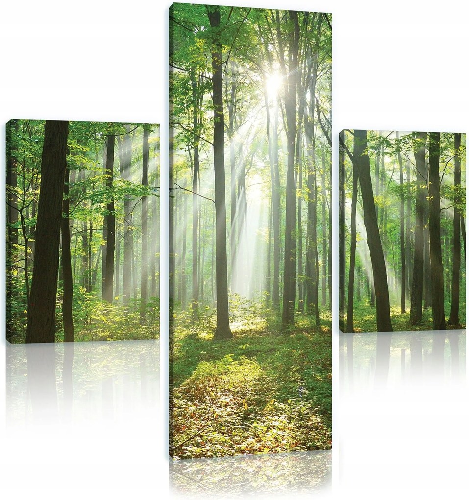 Vászonkép 80x80 Erdő napsugarak fény az erdőben természet zöld fák