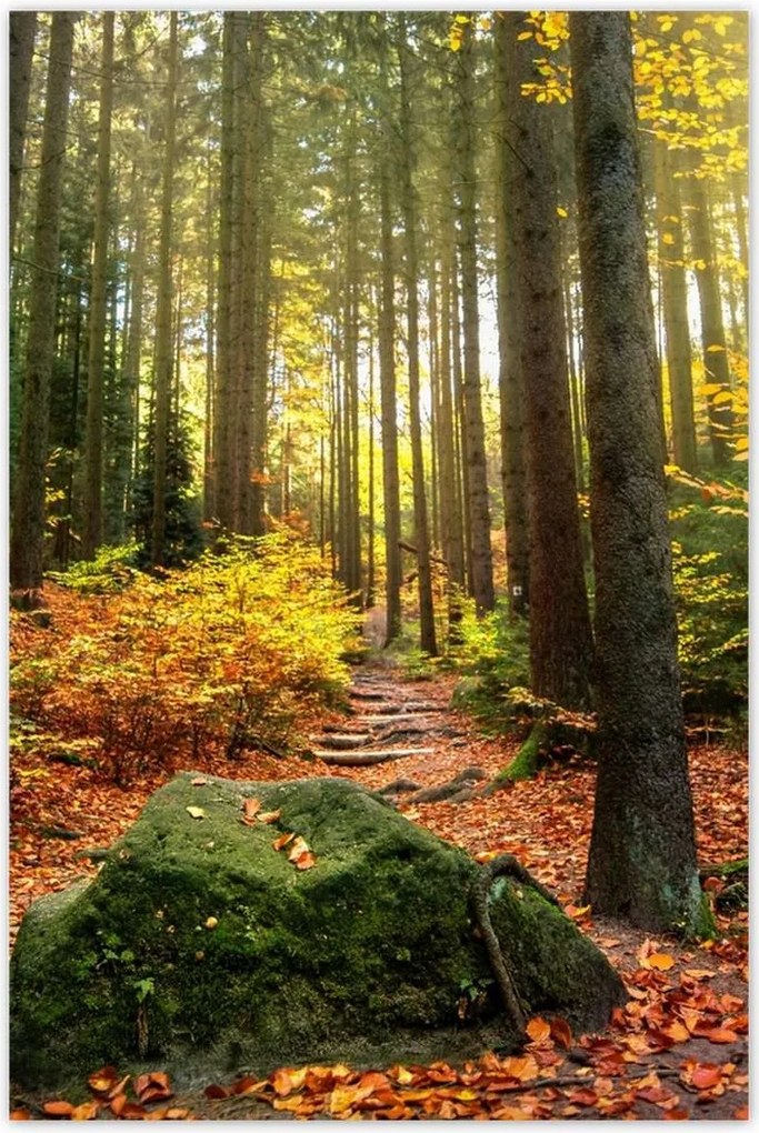 Poszterek 80x120 Tájkép