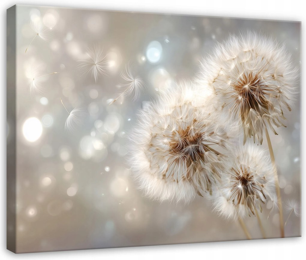 Vászonkép Pitypang Virágok Absztrakt Hálószoba Nappali Vászon 40x30