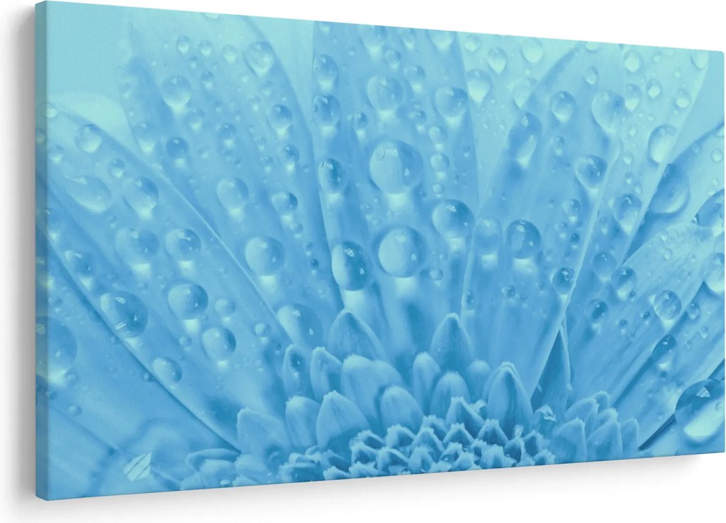 Kép - Makro felvétel egy virágról (90x60 cm)