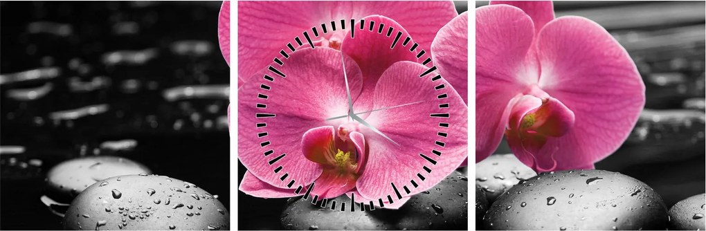 Kép - Rózsaszín orchideák (órával) (90x30 cm)