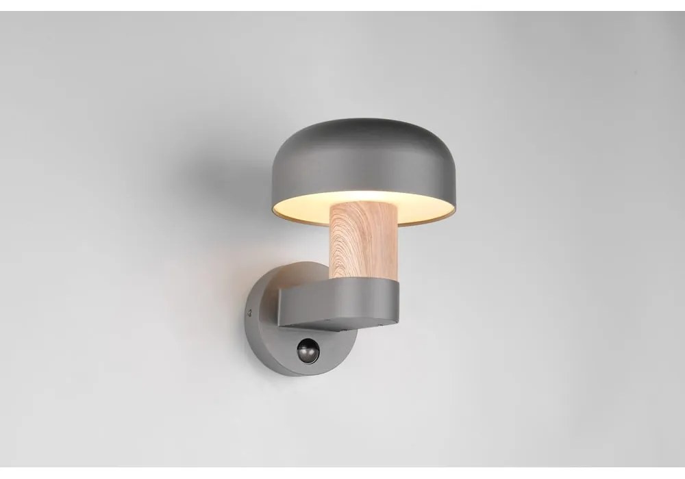 Fali kültéri lámpa (magasság 24,5 cm) Fraser – Trio