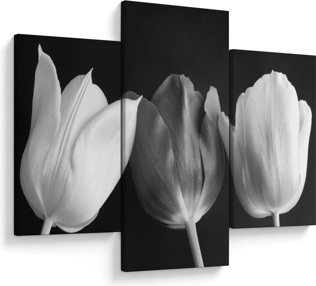 Kép - fekete-fehér tulipán virág (90x60 cm)