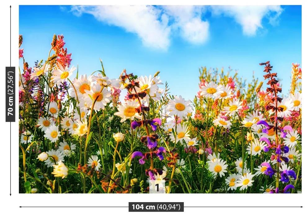 Fotótapéta Tavaszi virágok 104x70 cm