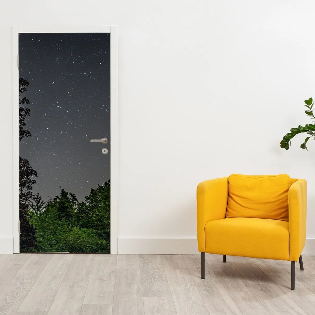 Fotótapéta ajtóra - Éjszakai égbolt (95x205cm)