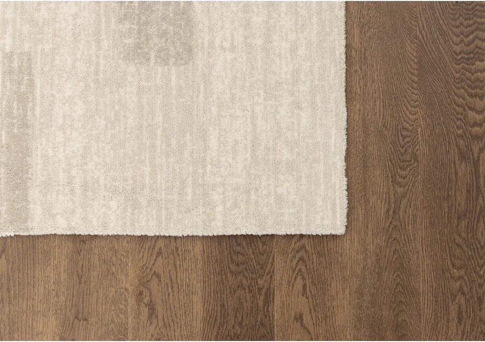 Bézs gyapjú szőnyeg 200x300 cm Agnus Brush Lines – Agnella