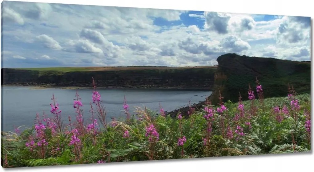 Vászonkép 115x55 Lila virágok