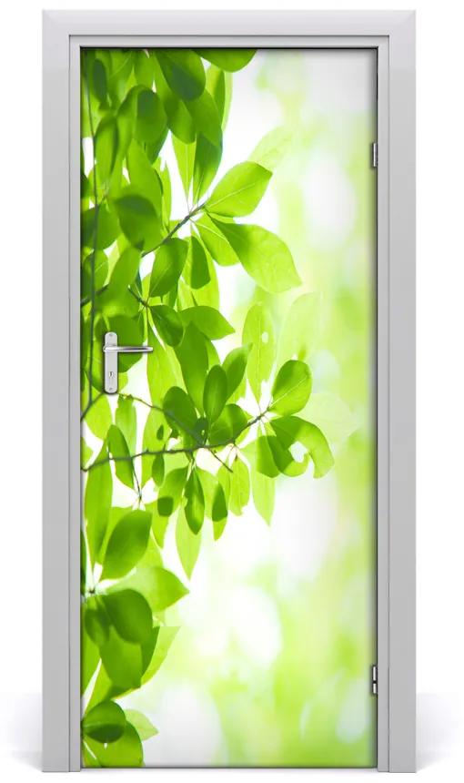 Ajtóposzter öntapadós Zöld levelek 85x205 cm