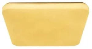 LED Mennyezeti lámpa OPAL LED/36W/230V 3000-6500K + távirányítás