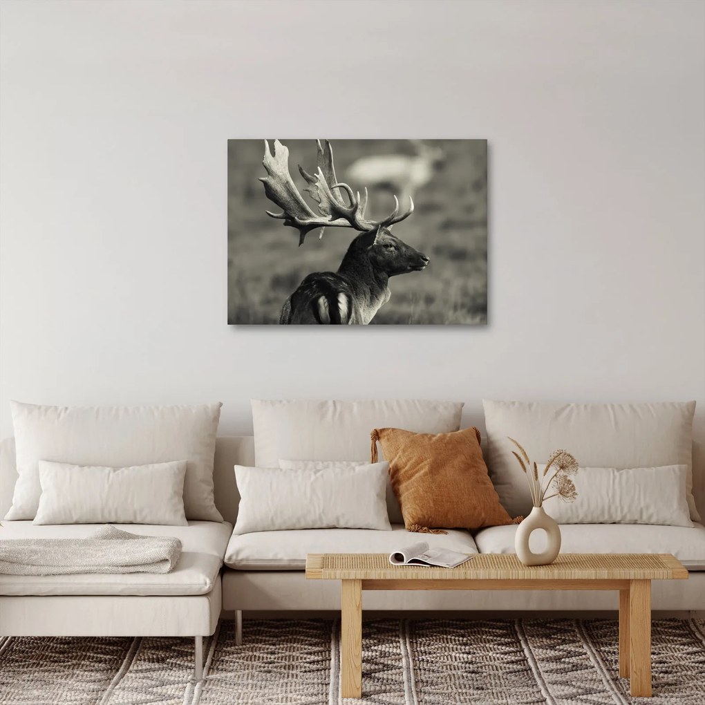 Kép - Szarvas (70x50 cm)