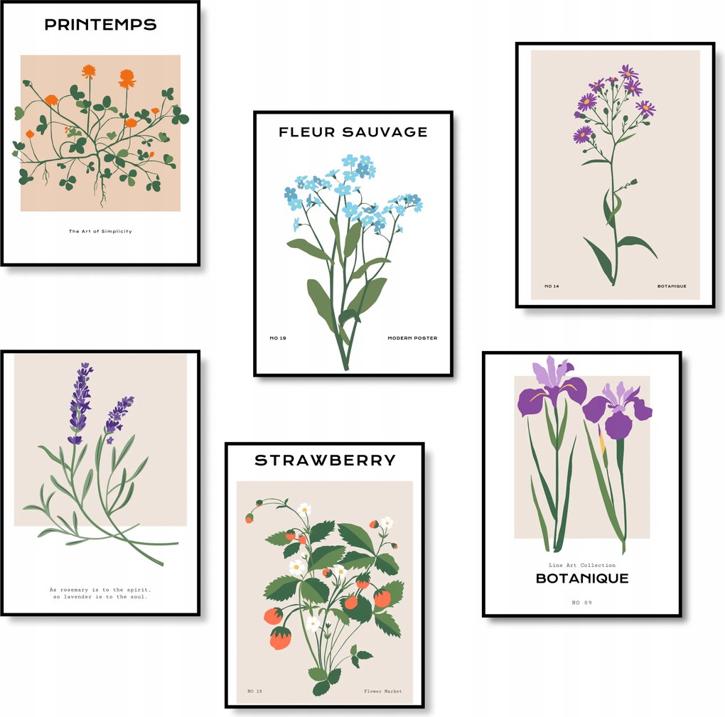 Poszter Szett Virágok Fali Dekoráció Poszter 6 db-os Szett *Sok minta*