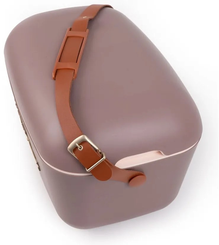 Barna hűtődoboz 12 l Classic Gold – Polarbox