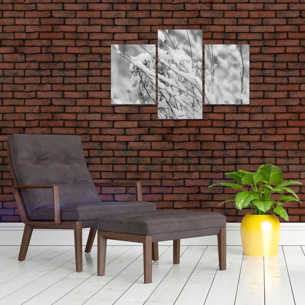 Kép - Havas ágak (90x60 cm)