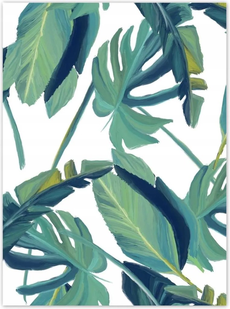 Poszterek 100x135 Monstera Levelek levél