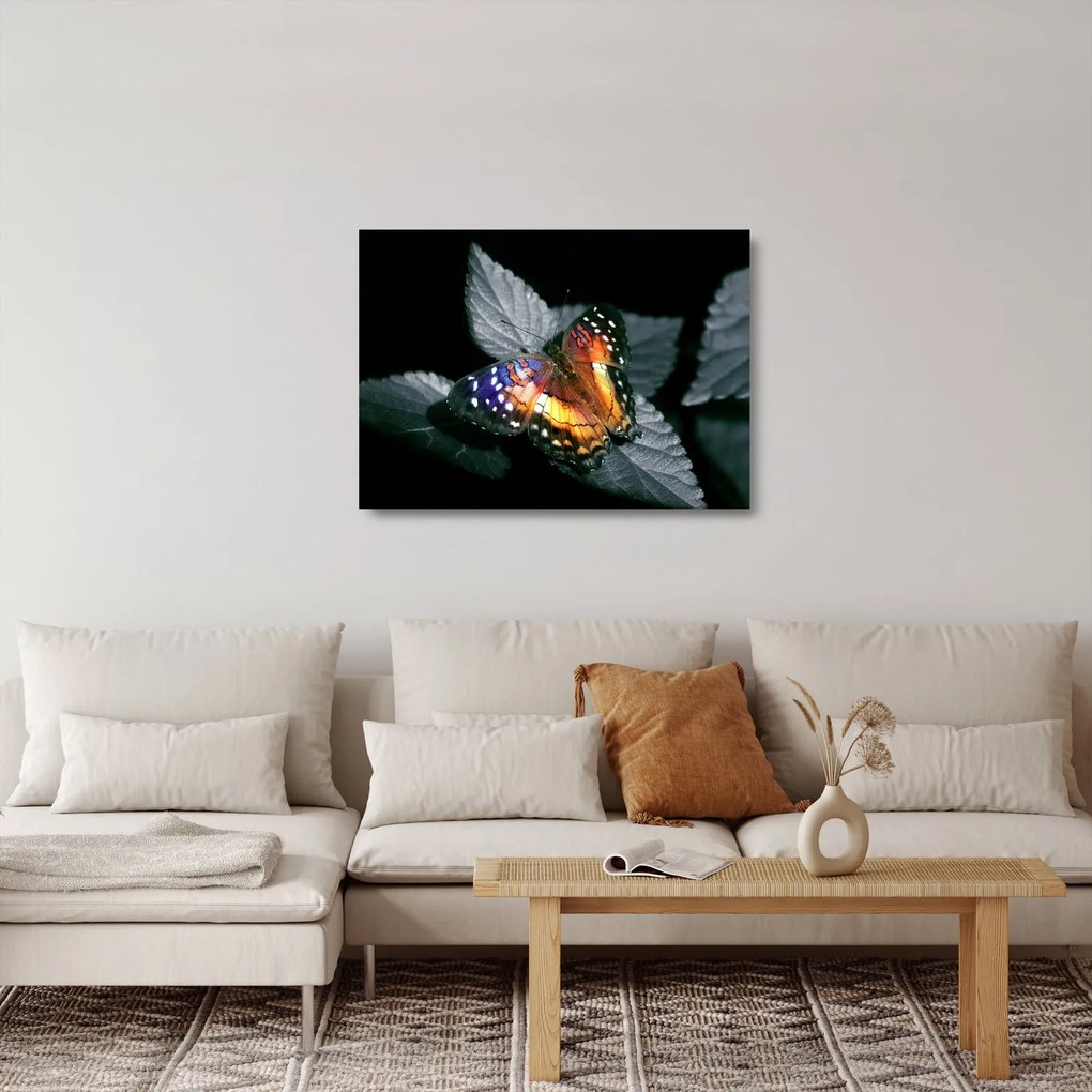 Pillangó képe (üvegen) (70x50 cm)