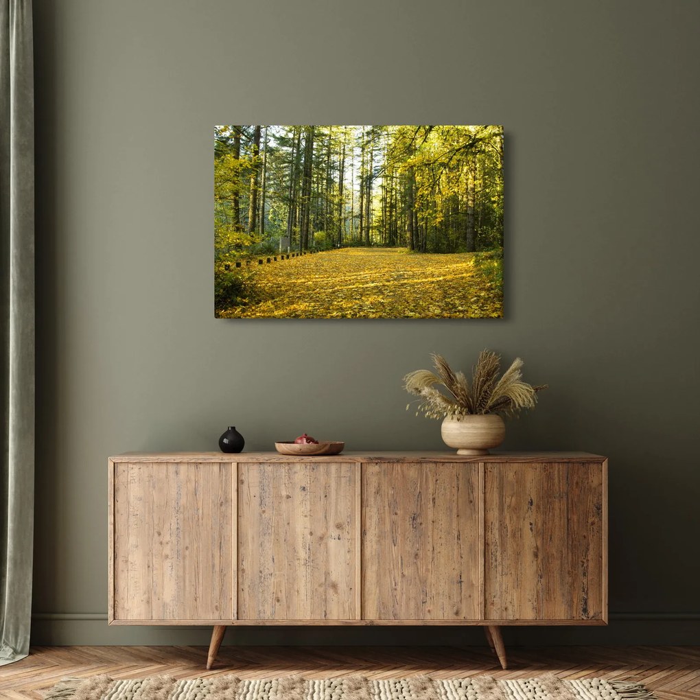 Kép - erdő ősszel (90x60 cm)