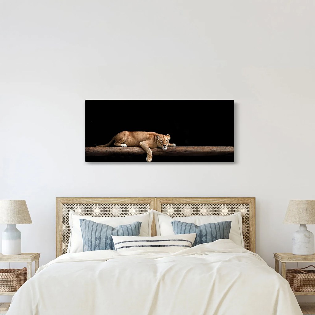Kép - Lioness (120x50 cm)