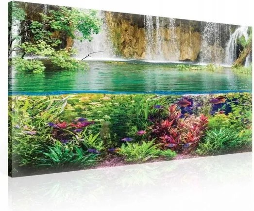 Vászonkép 80x60 Vízesés természet víz alatti világ növényzet halak