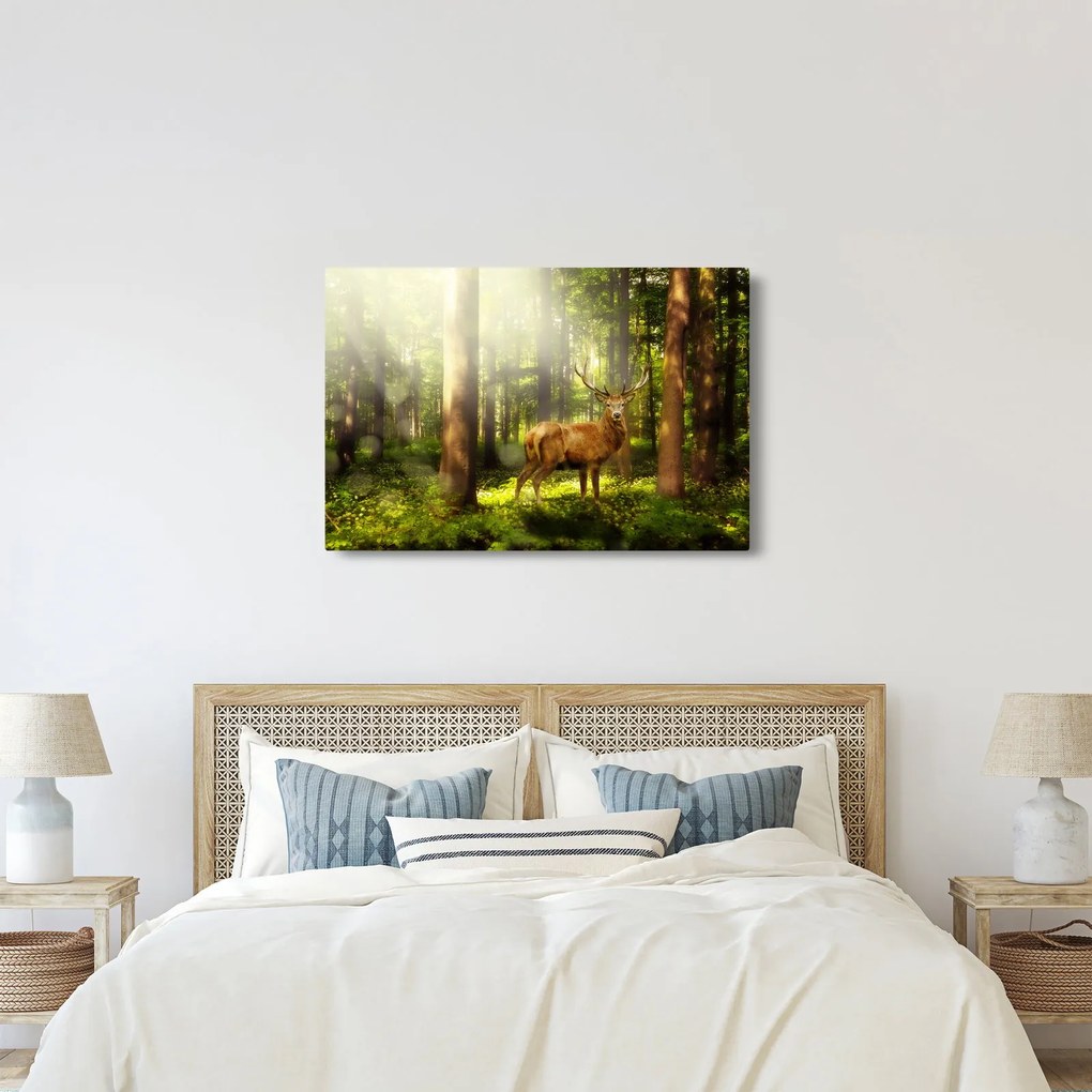 Kép egy szarvas az erdőben (90x60 cm)