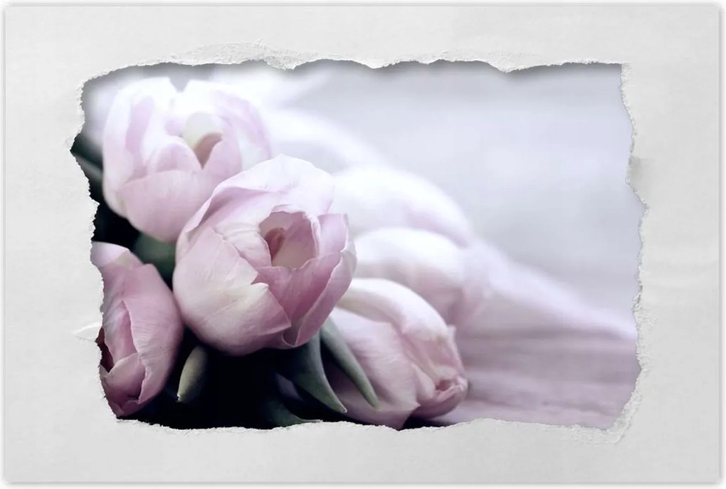 Poszterek 90x60 Tulipánok Virágok